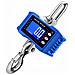 Bilancia A Gru Digitale 2000kg - Bilancia Sospesa Per Impieghi Gravosi Con Display Lcd, Alimentata A Batteria Blue - Foto miniatura 3
