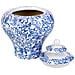 Vaso In Ceramica Bianca E Blu, D23x28h Cm - Foto miniatura 4