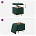 Pouf contenitore Verde Scuro 40 x 40 x 45 cm Velluto - Foto miniatura 9