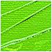 Pittura Acrilica Opaca - Verde Chiaro - 100 Ml - Foto miniatura 1