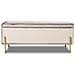 Cassapanca Pouf Contenitore Panca Sgabello Poggiapiedi In Tessuto Velluto Beige - Foto miniatura 2