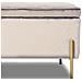 Cassapanca Pouf Contenitore Panca Sgabello Poggiapiedi In Tessuto Velluto Beige - Foto miniatura 4