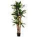 Pianta Dracena Artificiale Decorativa In Vaso 40x30x180h Cm - Foto miniatura 1