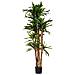 Pianta Dracena Artificiale Decorativa In Vaso 40x30x180h Cm - Foto miniatura 2