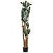 Pianta Dracena Artificiale Decorativa In Vaso 40x30x180h Cm - Foto miniatura 7