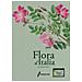Sandro Pignatti - Flora D'italia. Con Usb Flash Drive. 4. - Foto miniatura 1