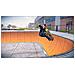 Activision Tony Hawk's Pro Skater 5, PlayStation 3, Sport, ENG - Foto miniatura 3