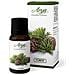 Sinergia Forest - Olio 10 Ml - Foto miniatura 4