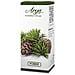 Sinergia Forest - Olio 10 Ml - Foto miniatura 2