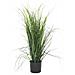 Pianta Erba Verde Artificiale 80 Cm - Foto miniatura 6