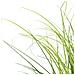 Pianta Erba Verde Artificiale 80 Cm - Foto miniatura 7