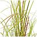 Pianta Erba Artificiale 130 Cm - Foto miniatura 3