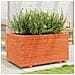 Fioriera Giardino Marrone Cera 90x60x49,5cm Legno Massello Pino - Foto miniatura 3