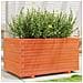 Fioriera Giardino Marrone Cera 90x60x49,5cm Legno Massello Pino - Foto miniatura 1