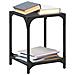 Tavolini Da Salotto Con Piano Vetro Nero 2pz 30x30x40cm Acciaio - Foto miniatura 1