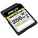 Sdxc 256gb Elite Perf. Class10 Uhs-1 U3 R 100mb / S W 75mb / S - Foto miniatura 1