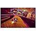 SWITCH - Trailblazers  - Foto miniatura 2