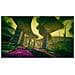 SWITCH - Trailblazers  - Foto miniatura 3