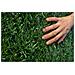 Siepe Artificiale Pico 1,8x5 M Rete Frangivista 90% Oscurante - Foto miniatura 5