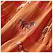 Gonna Da Bambina Cognac 104 - Foto miniatura 5