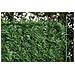 Siepe Artificiale Pico 1.8x10 M Rete Frangivista 90% Oscurante - Foto miniatura 2