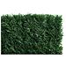 Siepe Artificiale Pico 1.8x10 M Rete Frangivista 90% Oscurante - Foto miniatura 3