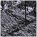 Tappeto Shaggy a Pelo Lungo NAVARRA Grigio Scuro 240x240 cm - Foto miniatura 7