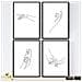 Set Di 4 Stampe Lamini Di Disegni E Schizzi A Una Linea Mani 2 Poster Nordico Dei Volti Nudi Corpi Al Naturale Tavolo Cornice Nera A4 - Foto miniatura 1