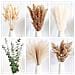 Bouquet Di Fiori Secchi Da 110 Steli - Composizione Di Erba Di Pampas, Canne Ed Eucalipto - Foto miniatura 4