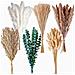 Bouquet Di Fiori Secchi Da 110 Steli - Composizione Di Erba Di Pampas, Canne Ed Eucalipto - Foto miniatura 1