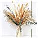 Bouquet Di Fiori Secchi Da 110 Steli - Composizione Di Erba Di Pampas, Canne Ed Eucalipto - Foto miniatura 6