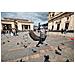 A064Z obiettivo per fotocamera Grandangolo Nero - Foto miniatura 17