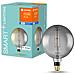 Ledvance Lampada Led | Attacco: E27 | Warm White | 2700 K | 6 W | Sostituzione Per 37 W Incandescent Bulb | Smart+ Filament Globe Dimmable - Foto miniatura 3