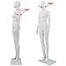 Manichino Donna Figura Intera Base In Vetro 175cm Bianco Lucido - Foto miniatura 6