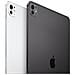 iPad Pro M4 (2024 7th Gen) 256GB 11" Wi-Fi Standard Glass Argento - Foto miniatura 4