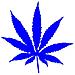 Marijuana - Maria - Adesivo Prespaziato - Colore Blu - 20cm - Foto miniatura 1