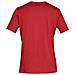 Boxed Sportstyle Ss Tee, Uomo, Rosso, Maglietta, Numero: M Eu - Foto miniatura 2