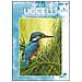 Uccelli - Foto miniatura 1