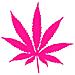Marijuana - Maria - Adesivo Prespaziato - Colore Fucsia - 20cm - Foto miniatura 1