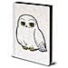 Harry Potter (hedwig) Fluffy A5 Premium Notebook - Foto miniatura 1