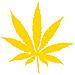 Marijuana - Maria - Adesivo Prespaziato - Colore Giallo - 10cm - Foto miniatura 1