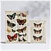 Set Di 6 Stampe Poster In Stile Cartaceo Vintage Con Farfalle E Sfondi Enciclopedici, Design D'interni Con Farfalle Colorate A3 & A4 Senza Cornice - Foto miniatura 2