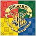 Procos - 20 Tovaglioli Di Carta Saga Harry Potter - Foto miniatura 1