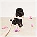 Impermeabile Per Cani Riciclato Sabbia - M - Foto miniatura 3
