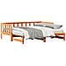Letto Giorno Estraibile senza Materasso Marrone Cera 2x(80x200) cm - Foto miniatura 1