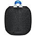 Speaker Bluetooth Portatile WONDERBOOM 2 Impermeabile IP67 con Suono Avvolgente a 360° Colore Nero - Foto miniatura 5