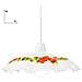 Lampadario moderno da interno cm 42 bianco con frutti - Foto miniatura 1