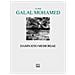 Samir Galal Mohamed - Damnatio memoriae - Foto miniatura 1