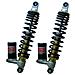 29402312 Set Ammortizzatori Posteriori Gas Aprilia Sportcity 04-06, Sportcity Cube-street 08-14, Sportcity E3 07-08, Sportcity 04-06, Sportcity Cube 08-10, Sportcity E3 06-08 - Foto miniatura 1