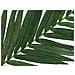 Coconut King Palm Branch, Artificial, 150cm - Foto miniatura 2